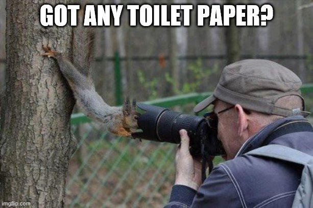 Jehovas Witness Squirrel |  GOT ANY TOILET PAPER? | image tagged in memes,jehovas witness squirrel | made w/ Imgflip meme maker
