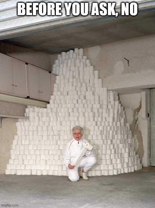 mountain of toilet paper | BEFORE YOU ASK, NO | image tagged in mountain of toilet paper | made w/ Imgflip meme maker