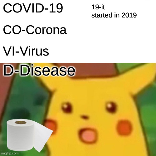 Surprised Pikachu | 19-it started in 2019; COVID-19; CO-Corona; VI-Virus; D-Disease | image tagged in memes,surprised pikachu | made w/ Imgflip meme maker