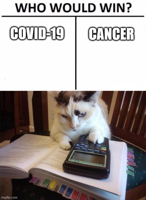 CANCER; COVID-19 | image tagged in math cat,memes,who would win | made w/ Imgflip meme maker