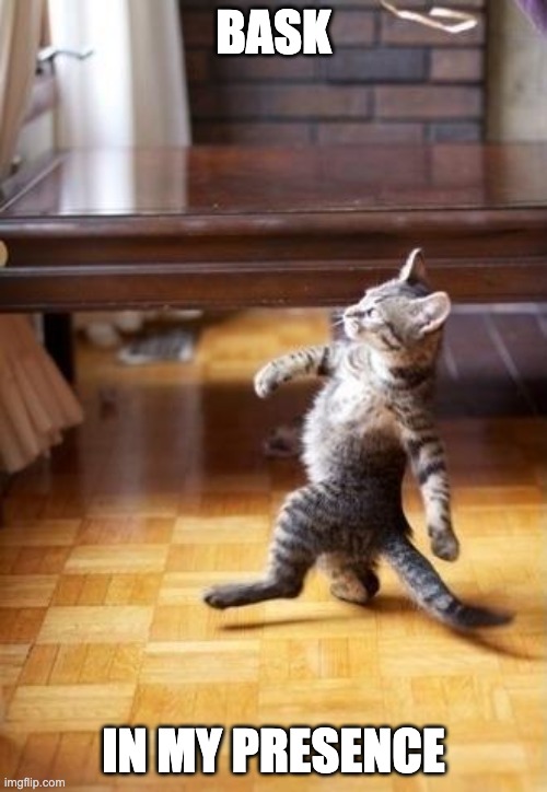 Cool Cat Stroll Meme | BASK; IN MY PRESENCE | image tagged in memes,cool cat stroll | made w/ Imgflip meme maker