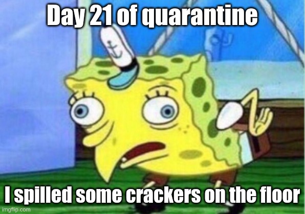 Mocking Spongebob | Day 21 of quarantine; I spilled some crackers on the floor | image tagged in memes,mocking spongebob | made w/ Imgflip meme maker