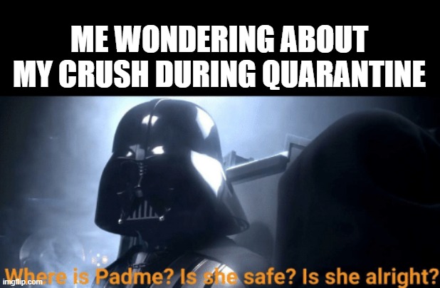 ME WONDERING ABOUT MY CRUSH DURING QUARANTINE | image tagged in memes,darth vader,PrequelMemes | made w/ Imgflip meme maker