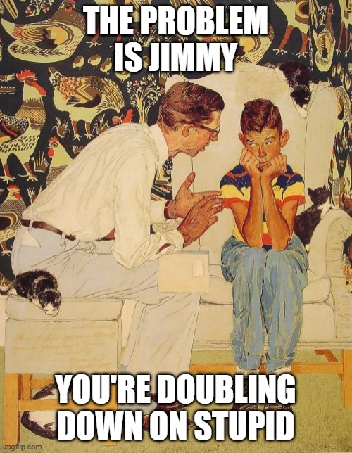 The Problem Is Meme | THE PROBLEM IS JIMMY YOU'RE DOUBLING DOWN ON STUPID | image tagged in memes,the problem is | made w/ Imgflip meme maker