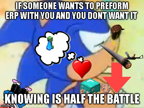 sonic that's no good | IF SOMEONE WANTS TO PREFORM ERP WITH YOU AND YOU DONT WANT IT; KNOWING IS HALF THE BATTLE | image tagged in sonic that's no good | made w/ Imgflip meme maker
