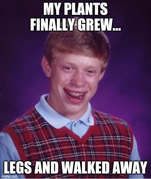 Bad Luck Brian | MY PLANTS FINALLY GREW... LEGS AND WALKED AWAY | image tagged in memes,bad luck brian | made w/ Imgflip meme maker