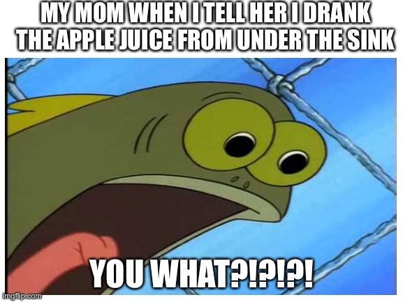 MY MOM WHEN I TELL HER I DRANK THE APPLE JUICE FROM UNDER THE SINK; YOU WHAT?!?!?! | image tagged in funny | made w/ Imgflip meme maker