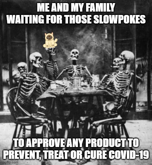Skeletons  | ME AND MY FAMILY WAITING FOR THOSE SLOWPOKES; TO APPROVE ANY PRODUCT TO PREVENT, TREAT OR CURE COVID-19 | image tagged in skeletons | made w/ Imgflip meme maker