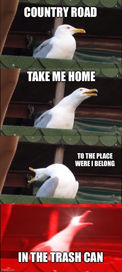 Inhaling Seagull | COUNTRY ROAD; TAKE ME HOME; TO THE PLACE WERE I BELONG; IN THE TRASH CAN | image tagged in memes,inhaling seagull | made w/ Imgflip meme maker