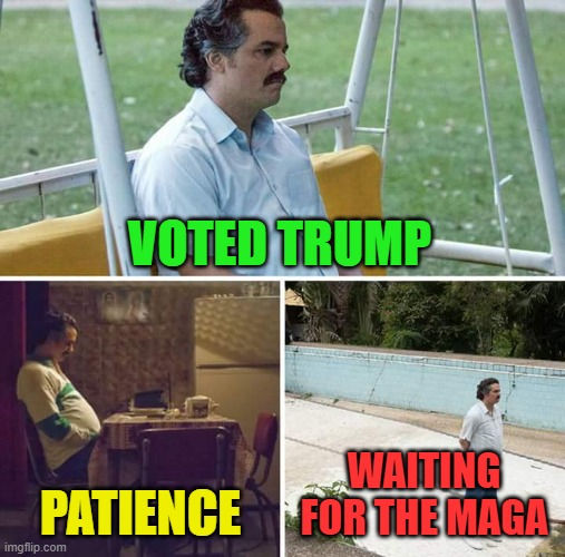 Sad Pablo Escobar Meme | VOTED TRUMP; PATIENCE; WAITING FOR THE MAGA | image tagged in memes,sad pablo escobar | made w/ Imgflip meme maker
