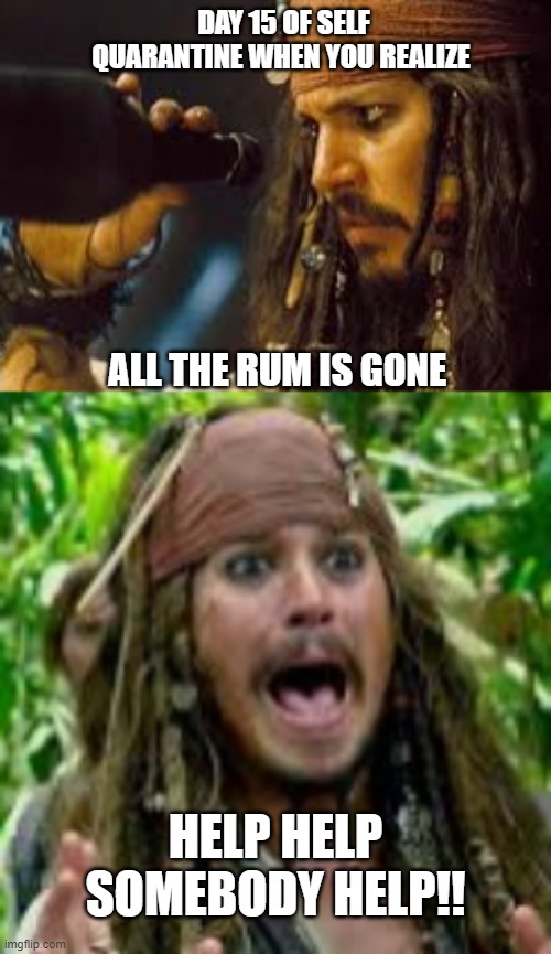 Stir crazy!!!! | DAY 15 OF SELF QUARANTINE WHEN YOU REALIZE; ALL THE RUM IS GONE; HELP HELP SOMEBODY HELP!! | image tagged in funny,funny memes,fun | made w/ Imgflip meme maker