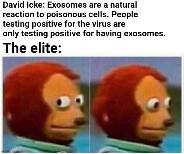 That video is more than interesting... | David Icke: Exosomes are a natural reaction to poisonous cells. People testing positive for the virus are only testing positive for having exosomes. The elite: | image tagged in memes,monkey puppet,coronavirus,covid-19 | made w/ Imgflip meme maker
