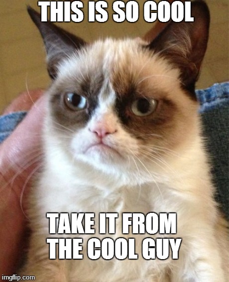 Grumpy Cat Meme | THIS IS SO COOL TAKE IT FROM THE COOL GUY | image tagged in memes,grumpy cat | made w/ Imgflip meme maker