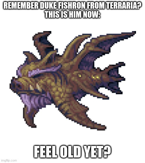 Duke Fishron Boomer | REMEMBER DUKE FISHRON FROM TERRARIA?
THIS IS HIM NOW:; FEEL OLD YET? | image tagged in blank white template,terraria,terraria calamity mod,terraria modded,fun | made w/ Imgflip meme maker