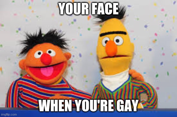 when you're gay | YOUR FACE; WHEN YOU'RE GAY | image tagged in gay jokes | made w/ Imgflip meme maker