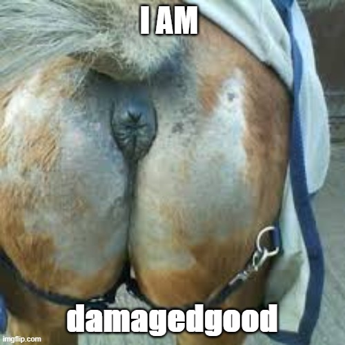 I AM damagedgood | made w/ Imgflip meme maker