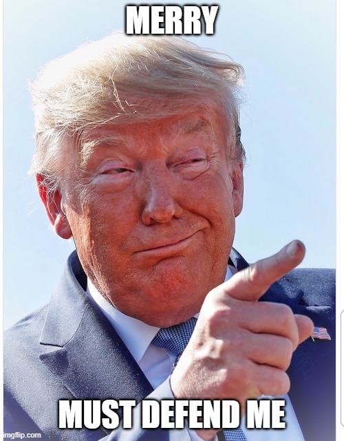 Trump pointing | MERRY MUST DEFEND ME | image tagged in trump pointing | made w/ Imgflip meme maker