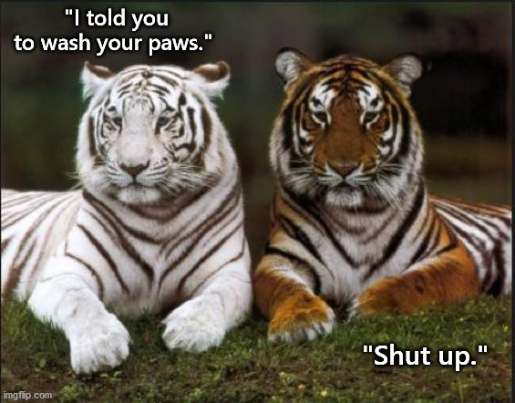 "I told you to wash your paws."; "Shut up." | made w/ Imgflip meme maker