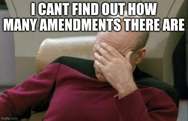 Captain Picard Facepalm Meme | I CANT FIND OUT HOW MANY AMENDMENTS THERE ARE | image tagged in memes,captain picard facepalm | made w/ Imgflip meme maker