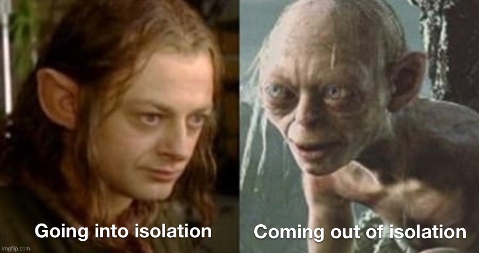 Lord of the rings isolation meme | image tagged in lord of the rings,memes,funny memes,golem,self isolation | made w/ Imgflip meme maker
