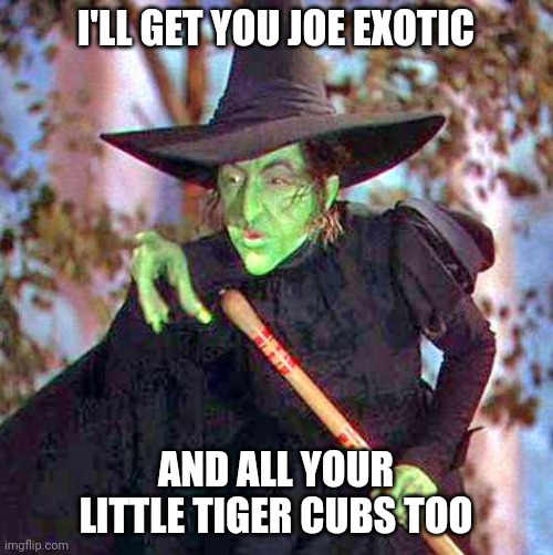 Wicked Witch | I'LL GET YOU JOE EXOTIC; AND ALL YOUR LITTLE TIGER CUBS TOO | image tagged in wicked witch | made w/ Imgflip meme maker