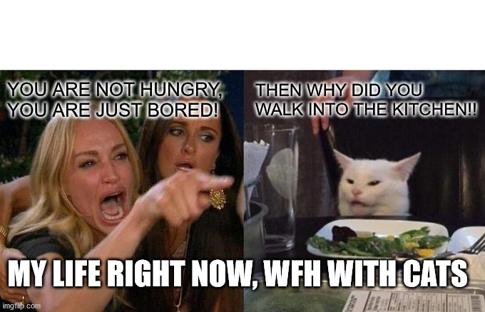 Woman Yelling At Cat | YOU ARE NOT HUNGRY, YOU ARE JUST BORED! THEN WHY DID YOU WALK INTO THE KITCHEN!! MY LIFE RIGHT NOW, WFH WITH CATS | image tagged in memes,woman yelling at cat | made w/ Imgflip meme maker