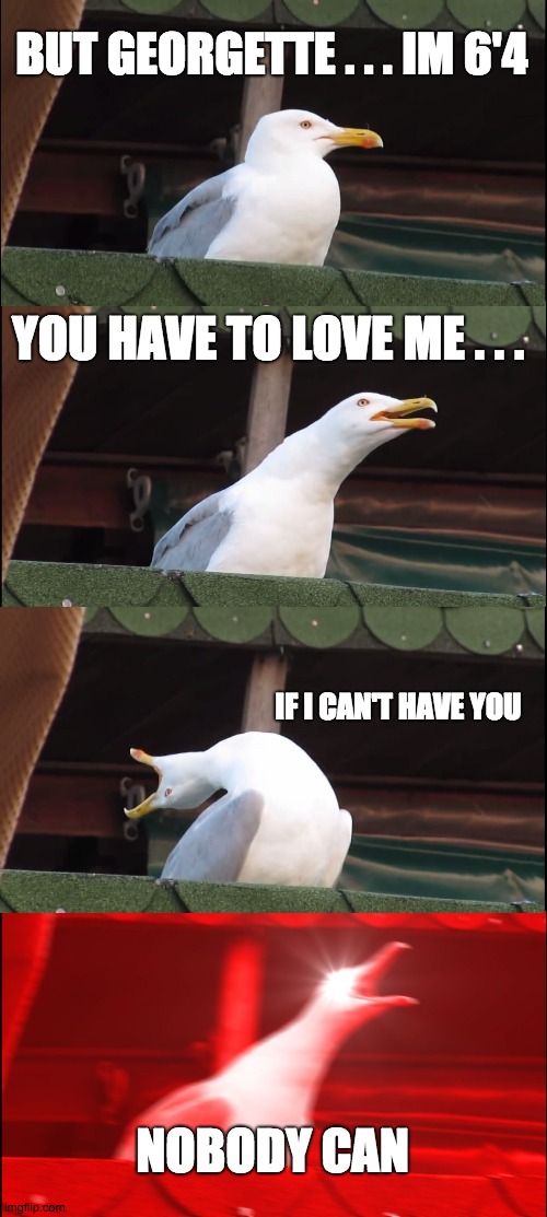 Inhaling Seagull Meme | BUT GEORGETTE . . . IM 6'4; YOU HAVE TO LOVE ME . . . IF I CAN'T HAVE YOU; NOBODY CAN | image tagged in memes,inhaling seagull | made w/ Imgflip meme maker