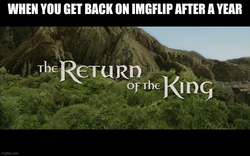 Return Of The King | WHEN YOU GET BACK ON IMGFLIP AFTER A YEAR | image tagged in return of the king | made w/ Imgflip meme maker