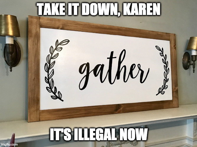 A Governor or Mayor's edict from their ivory tower on high trumps the Constitution? Who knew? | TAKE IT DOWN, KAREN; IT'S ILLEGAL NOW | image tagged in gather,coronavirus,first amendment is dead,covid-19,tyranny,government oppression | made w/ Imgflip meme maker