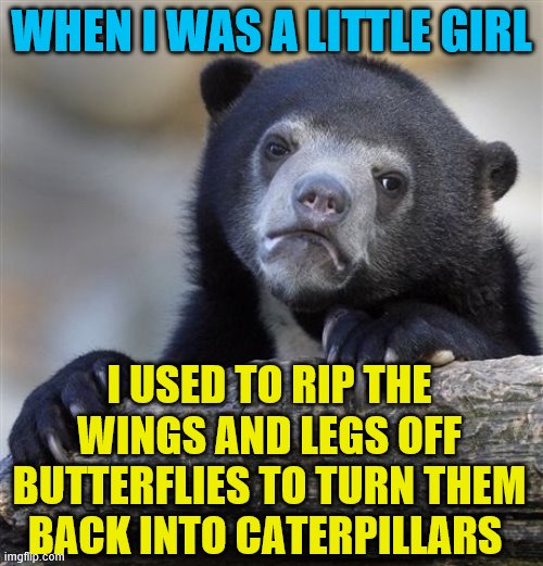 What icky things did you do before you were old enough to know better? | WHEN I WAS A LITTLE GIRL; I USED TO RIP THE WINGS AND LEGS OFF BUTTERFLIES TO TURN THEM BACK INTO CATERPILLARS | image tagged in memes,confession bear,civilized discussion,butterflies | made w/ Imgflip meme maker
