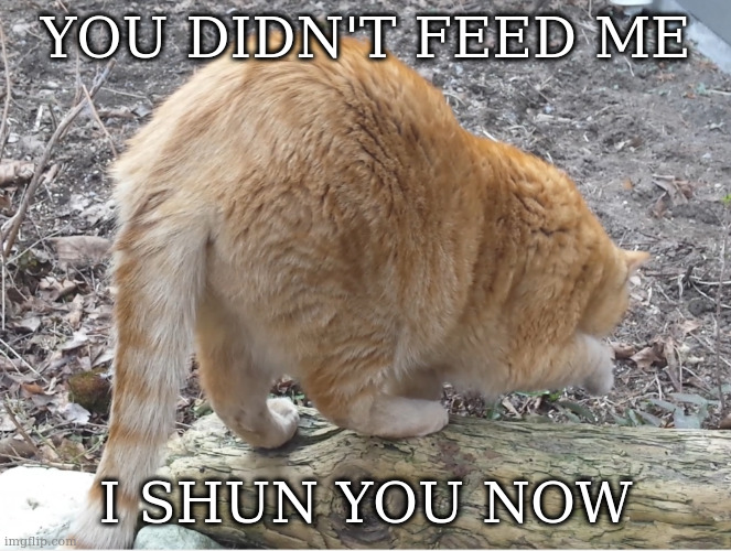 big ass | YOU DIDN'T FEED ME I SHUN YOU NOW | image tagged in big ass | made w/ Imgflip meme maker