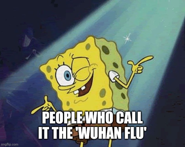 spongebob cool | PEOPLE WHO CALL IT THE 'WUHAN FLU' | image tagged in spongebob cool | made w/ Imgflip meme maker