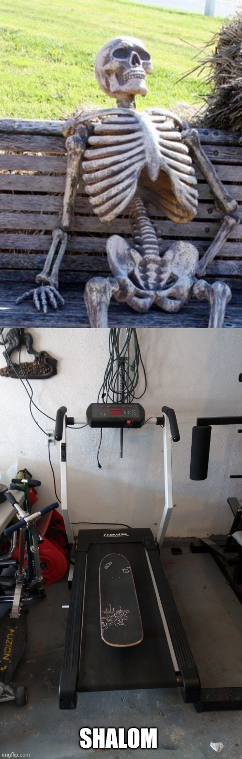 SHALOM | image tagged in memes,waiting skeleton | made w/ Imgflip meme maker