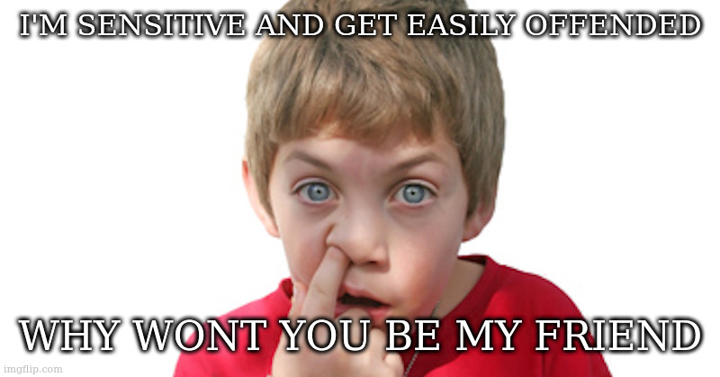 dumb kid | I'M SENSITIVE AND GET EASILY OFFENDED; WHY WONT YOU BE MY FRIEND | image tagged in dumb kid | made w/ Imgflip meme maker