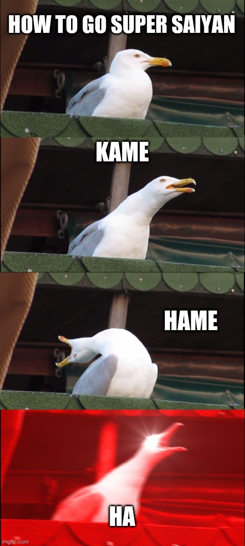 Inhaling Seagull | HOW TO GO SUPER SAIYAN; KAME; HAME; HA | image tagged in memes,inhaling seagull | made w/ Imgflip meme maker