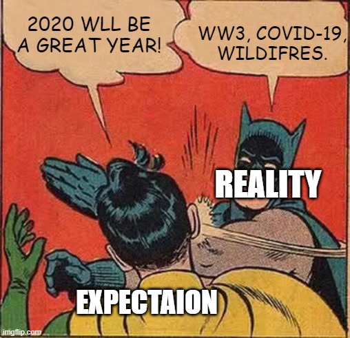 Batman Slapping Robin | 2020 WLL BE A GREAT YEAR! WW3, COVID-19, WILDIFRES. REALITY; EXPECTAION | image tagged in memes,batman slapping robin | made w/ Imgflip meme maker