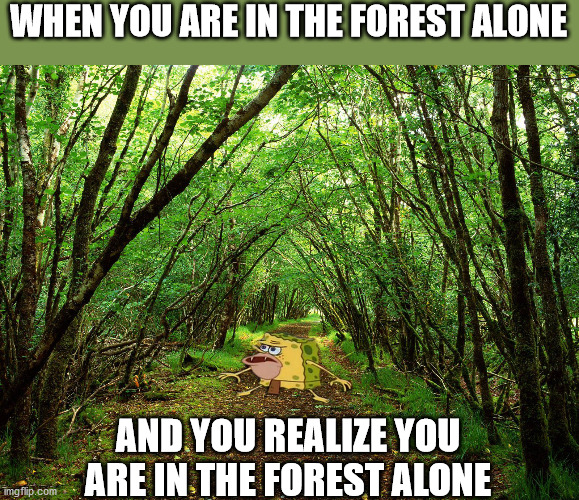 Spongegar Forest | WHEN YOU ARE IN THE FOREST ALONE; AND YOU REALIZE YOU ARE IN THE FOREST ALONE | image tagged in spongegar forest | made w/ Imgflip meme maker