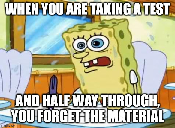 Spongebob | WHEN YOU ARE TAKING A TEST; AND HALF WAY THROUGH, YOU FORGET THE MATERIAL | image tagged in spongebob | made w/ Imgflip meme maker