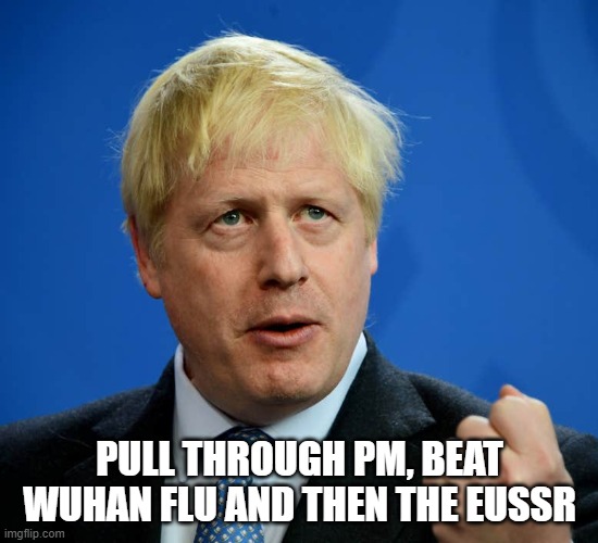 Boris Johnson | PULL THROUGH PM, BEAT WUHAN FLU AND THEN THE EUSSR | image tagged in boris johnson | made w/ Imgflip meme maker