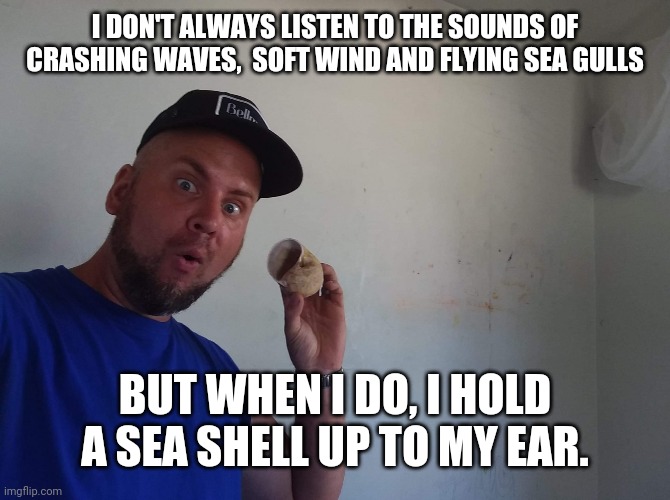 Sea shell | I DON'T ALWAYS LISTEN TO THE SOUNDS OF CRASHING WAVES,  SOFT WIND AND FLYING SEA GULLS; BUT WHEN I DO, I HOLD A SEA SHELL UP TO MY EAR. | image tagged in sea shell | made w/ Imgflip meme maker