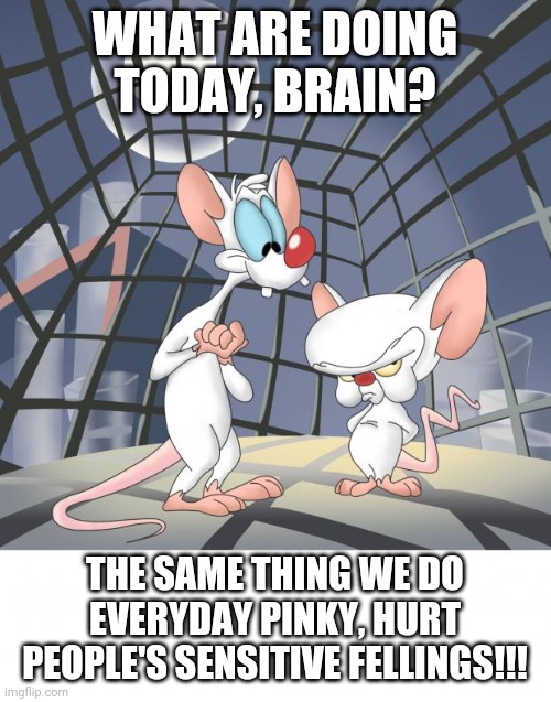 Pinky and the brain | WHAT ARE DOING TODAY, BRAIN? THE SAME THING WE DO EVERYDAY PINKY, HURT PEOPLE'S SENSITIVE FELLINGS!!! | image tagged in pinky and the brain | made w/ Imgflip meme maker
