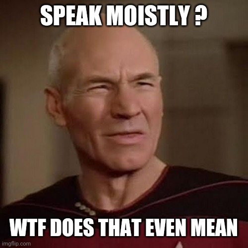 Picard WTF | SPEAK MOISTLY ? WTF DOES THAT EVEN MEAN | image tagged in picard wtf | made w/ Imgflip meme maker