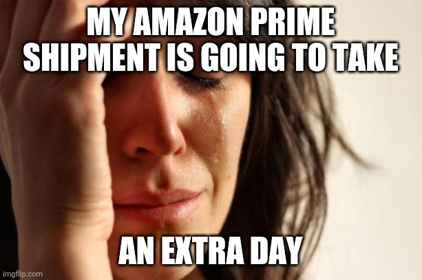 First World Problems Meme | MY AMAZON PRIME SHIPMENT IS GOING TO TAKE; AN EXTRA DAY | image tagged in memes,first world problems | made w/ Imgflip meme maker