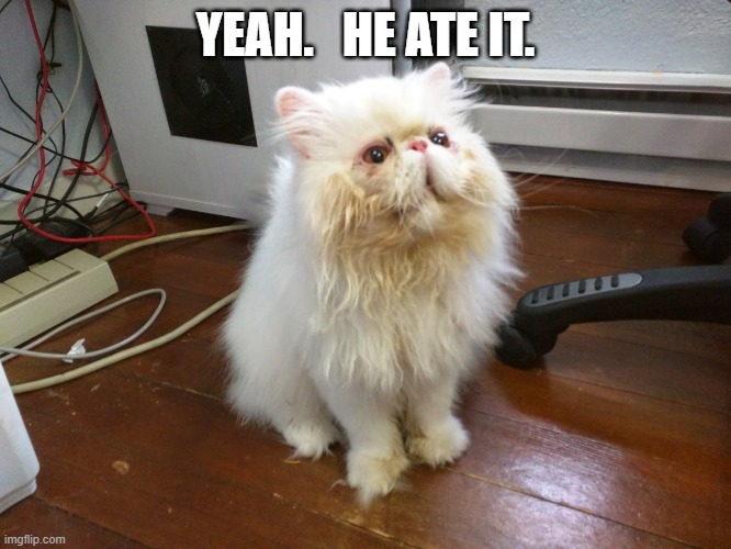 I EATED IT | YEAH.   HE ATE IT. | image tagged in i eated it | made w/ Imgflip meme maker