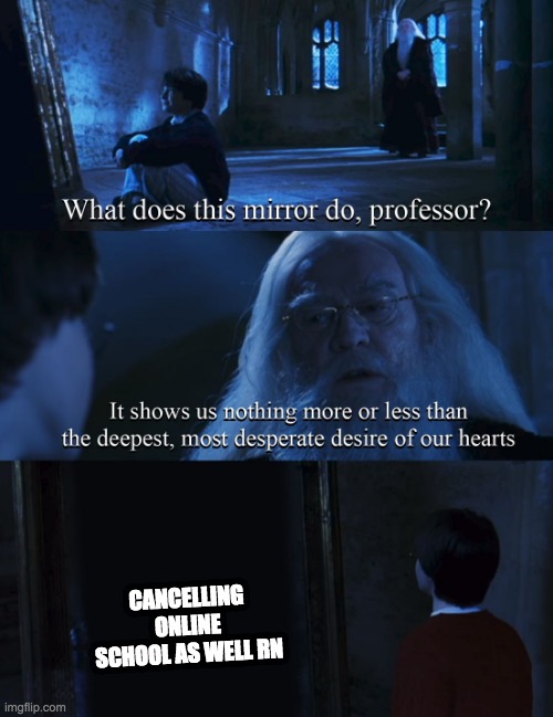 mirror mirror on the wall
cancel online school for all | CANCELLING ONLINE SCHOOL AS WELL RN | image tagged in harry potter mirror | made w/ Imgflip meme maker