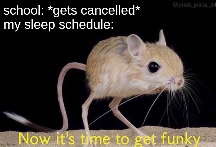 sleep is for the weak | school: *gets cancelled*; my sleep schedule: | image tagged in now its time to get funky,memes,funny | made w/ Imgflip meme maker