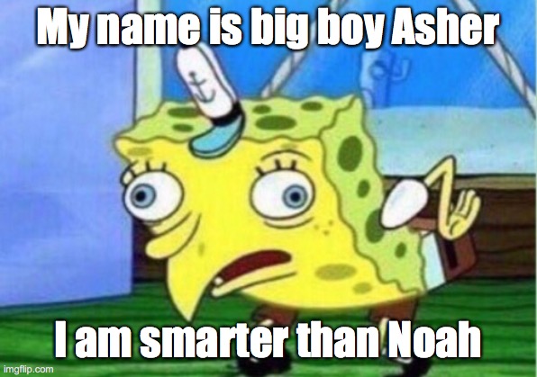 Mocking Spongebob Meme | My name is big boy Asher; I am smarter than Noah | image tagged in memes,mocking spongebob | made w/ Imgflip meme maker