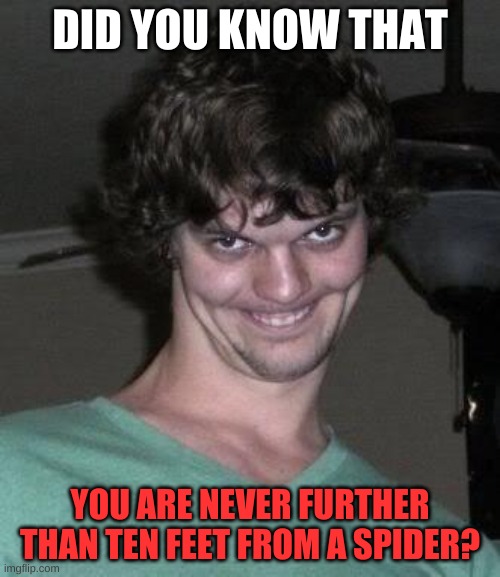 Creepy guy  | DID YOU KNOW THAT; YOU ARE NEVER FURTHER THAN TEN FEET FROM A SPIDER? | image tagged in creepy guy | made w/ Imgflip meme maker