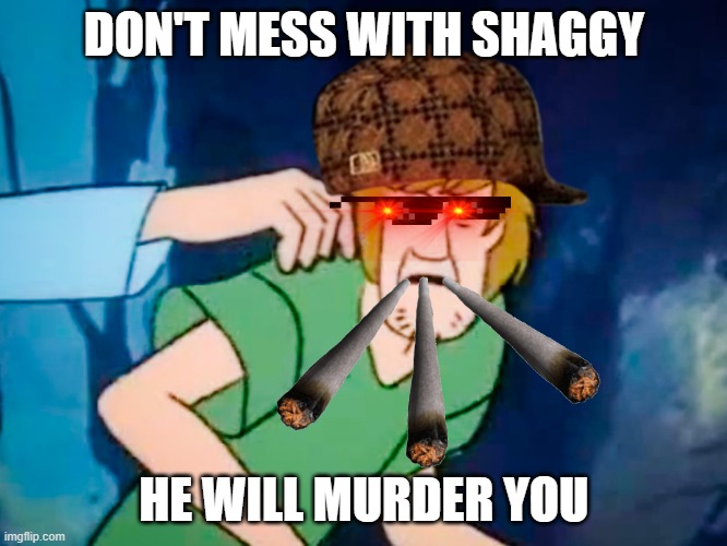 Shaggy meme | DON'T MESS WITH SHAGGY; HE WILL MURDER YOU | image tagged in shaggy meme | made w/ Imgflip meme maker