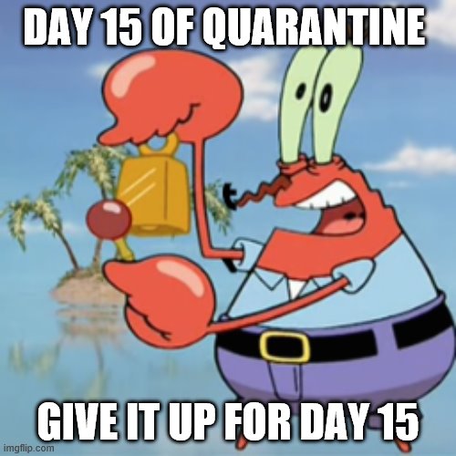 Day 15 | DAY 15 OF QUARANTINE; GIVE IT UP FOR DAY 15 | image tagged in day 15 | made w/ Imgflip meme maker